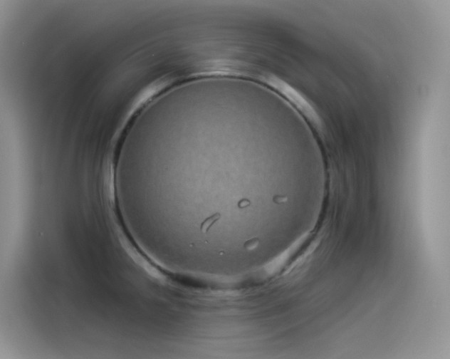 X0000114491238200910191224