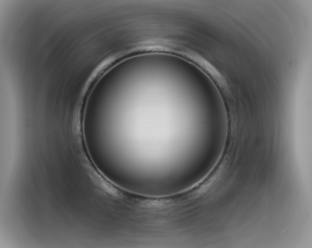 X0000114491240200910191224