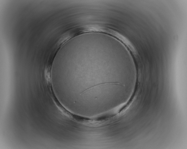 X0000114491241200910191224