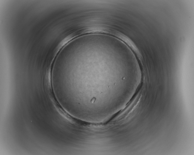 X0000114491242200910191224