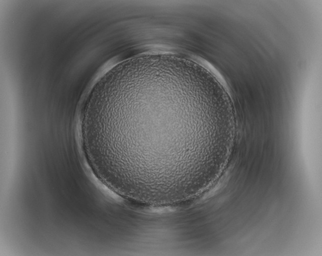 X0000114491243200910191224