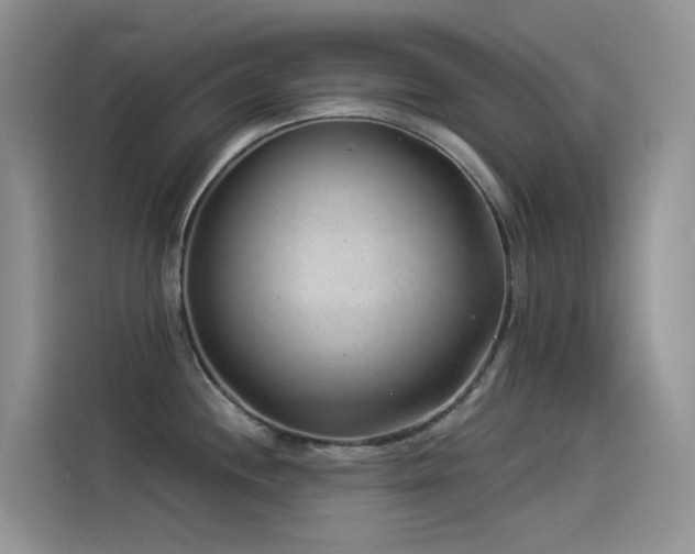 X0000114491244200910191224