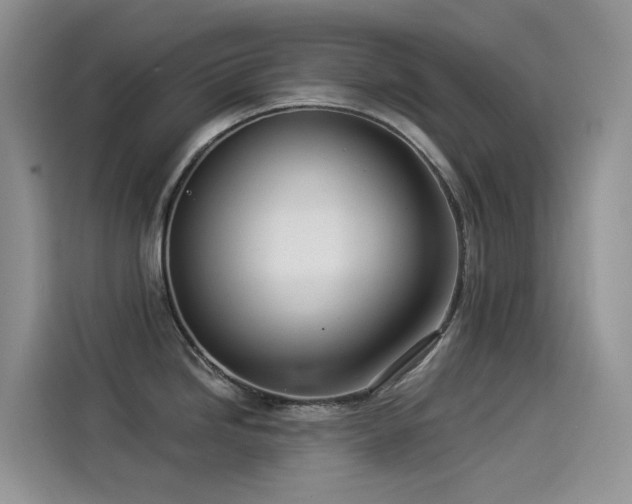 X0000114491246200910191224