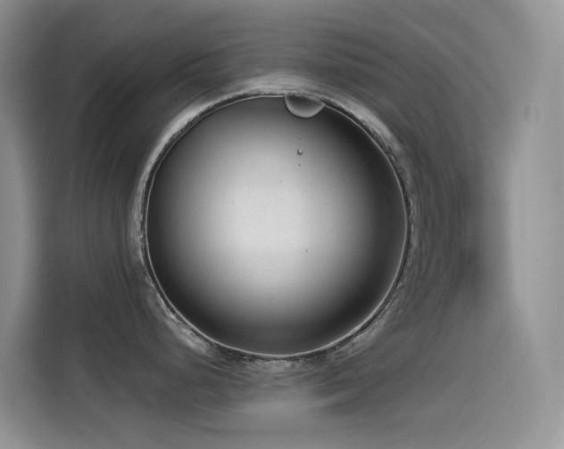 X0000114491248200910191224