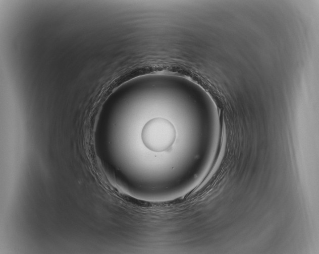X0000114491249200910191224