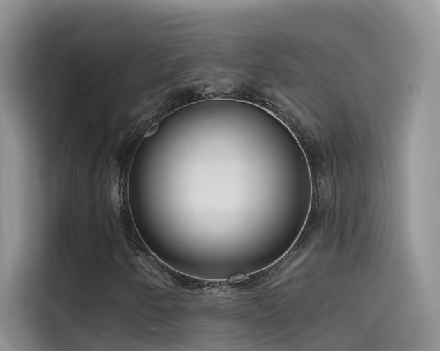X0000114491250200910191224