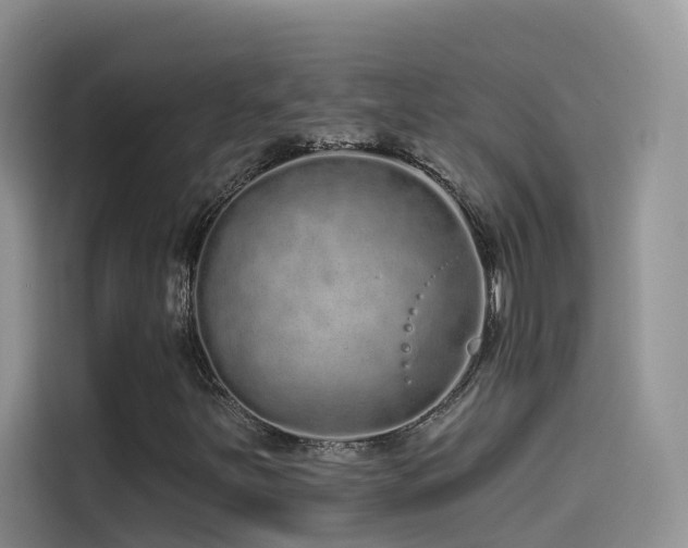 X0000114491251200910191224