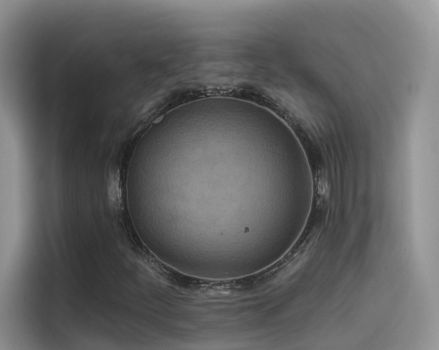 X0000114491252200910191224