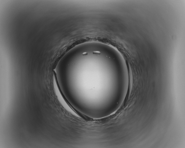 X0000114491253200910191224
