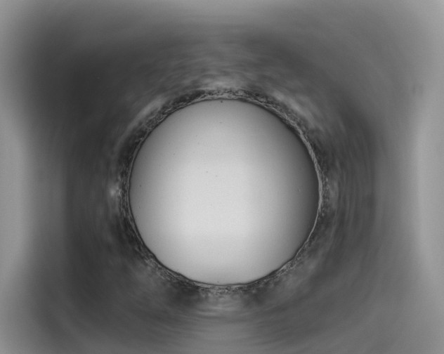 X0000114491254200910191224