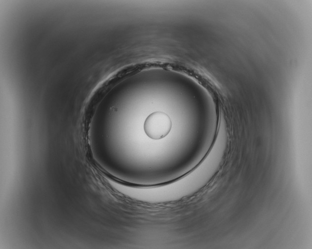 X0000114491256200910191224