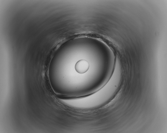 X0000114491257200910191224