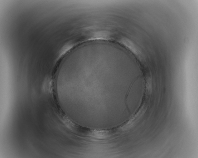 X0000114491258200910191224