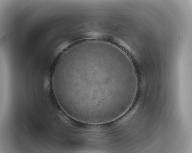X0000114491259200910191224