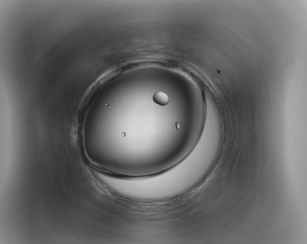 X0000114491260200910191224