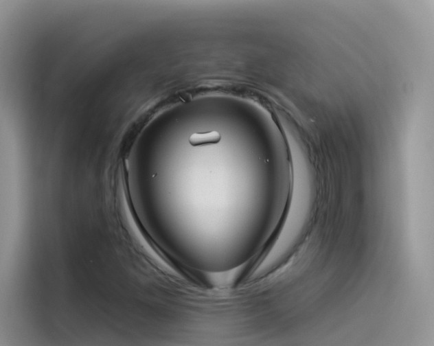 X0000114491261200910191224