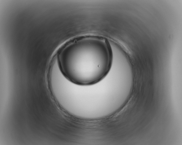 X0000114491264200910191224