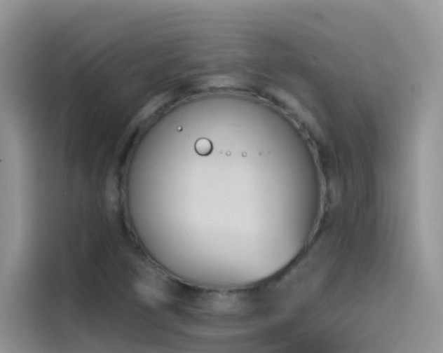 X0000114491266200910191224