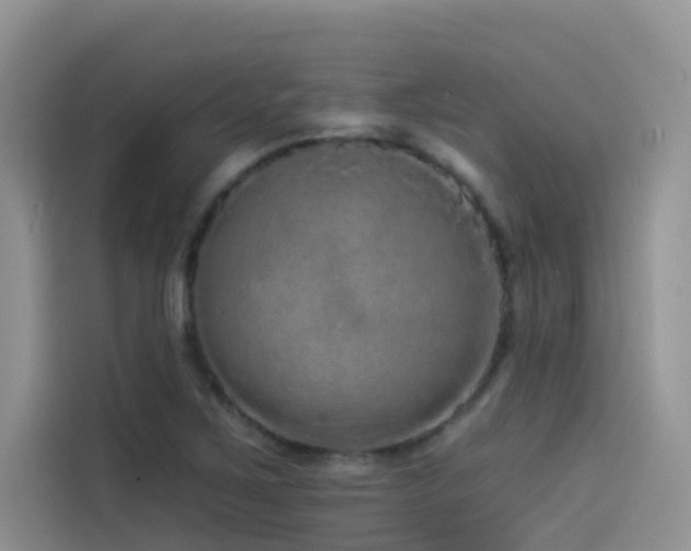 X0000114491267200910191224