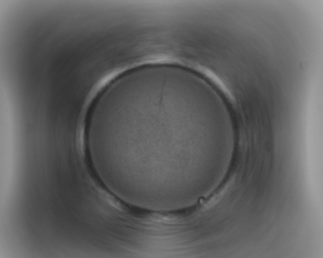 X0000114491270200910191224