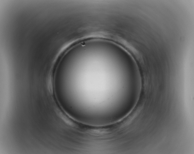 X0000114491272200910191224