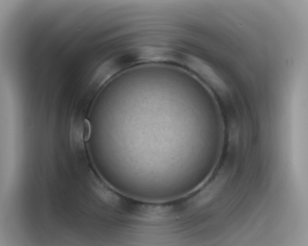 X0000114491273200910191224
