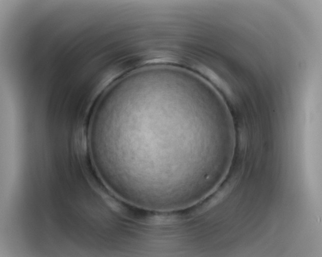 X0000114491274200910191223