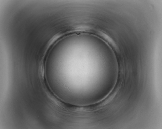 X0000114491275200910191223