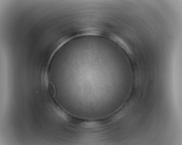 X0000114491276200910191223