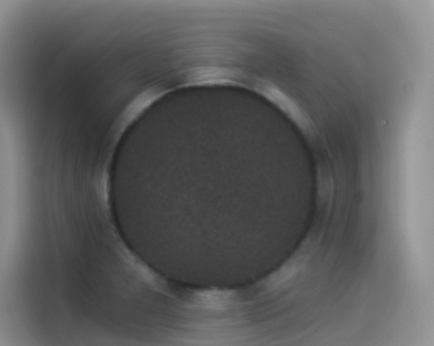 X0000114491277200910191223