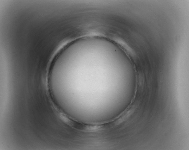 X0000114491278200910191223
