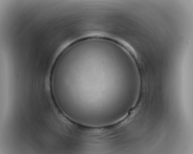 X0000114491279200910191223