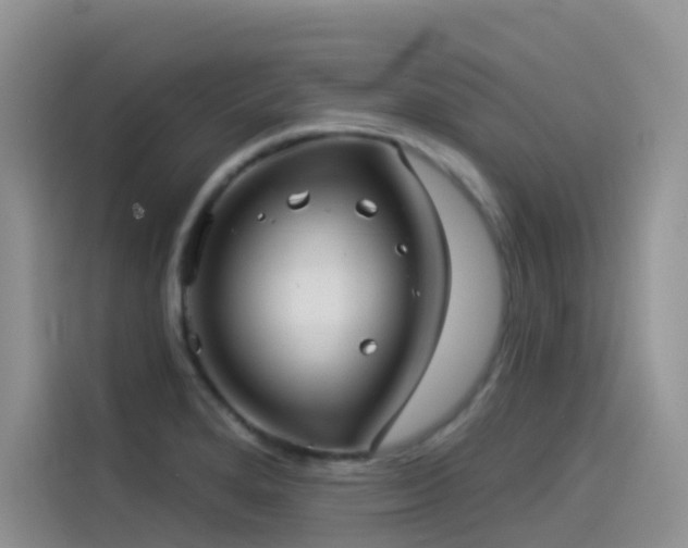 X0000114491280200910191223