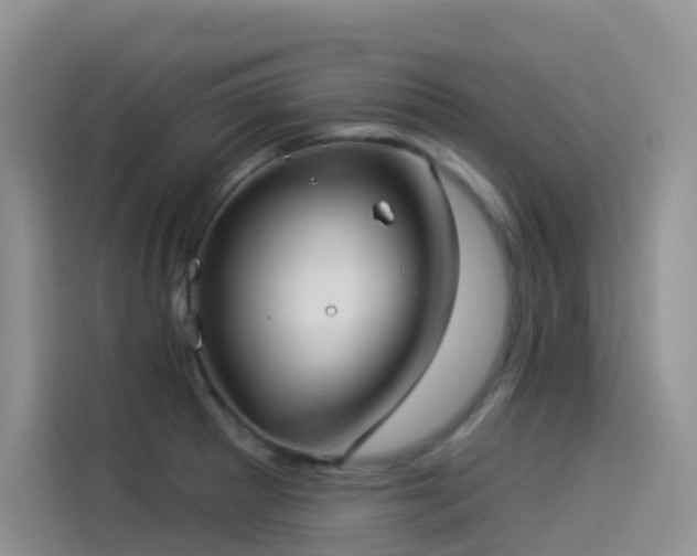 X0000114491281200910191223