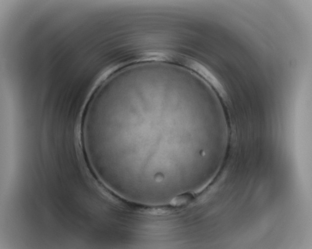 X0000114491283200910191223
