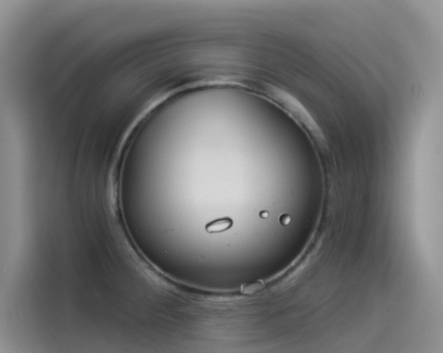 X0000114491284200910191223