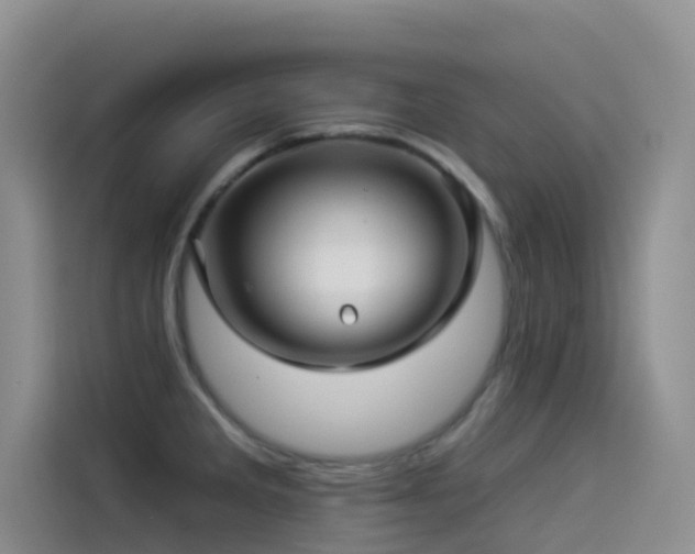 X0000114491285200910191223