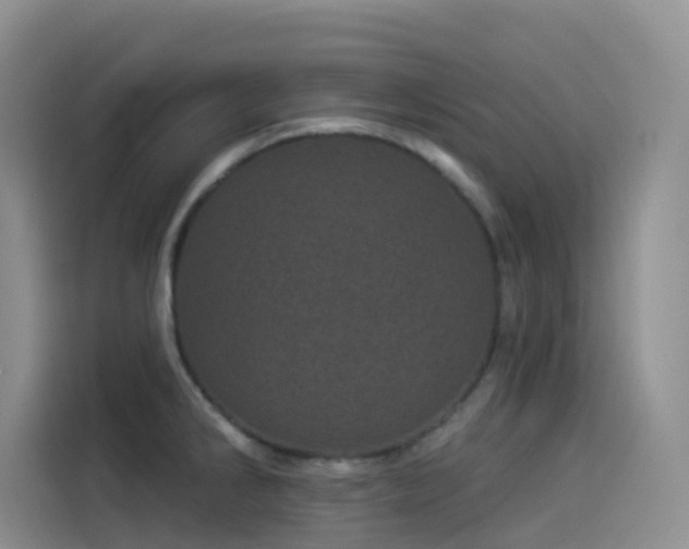 X0000114491286200910191223