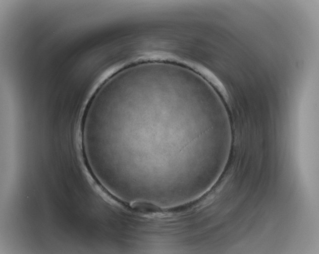 X0000114491287200910191223