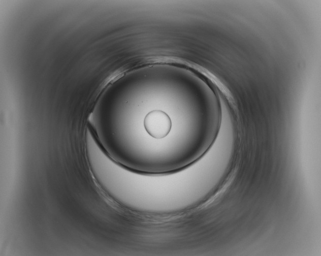 X0000114491289200910191223