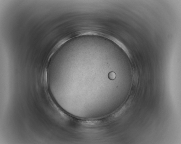 X0000114491290200910191223