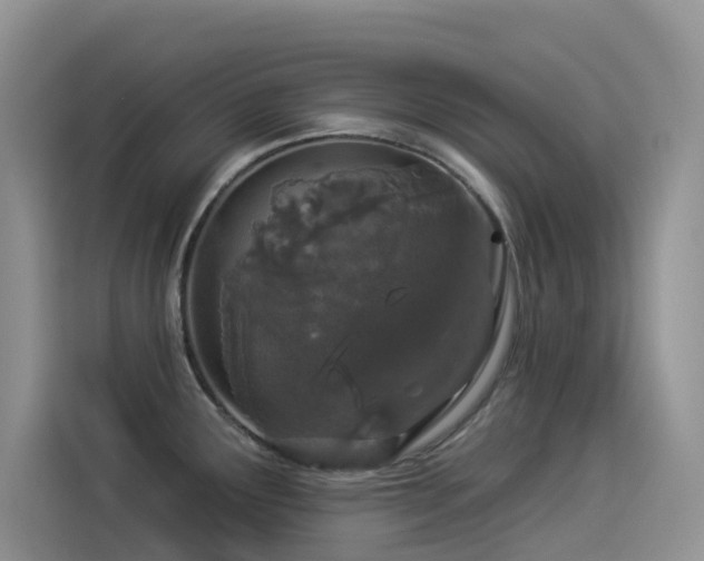 X0000114491291200910191223