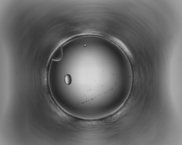 X0000114491292200910191223