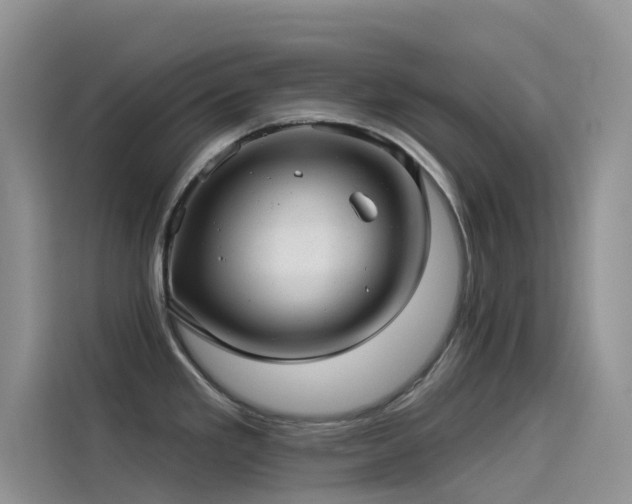 X0000114491293200910191223