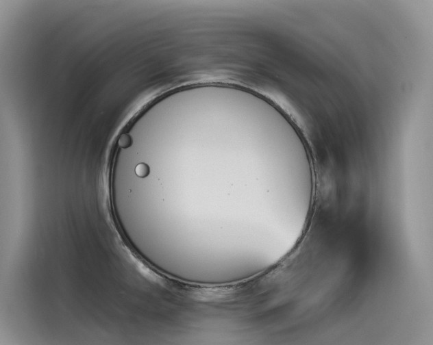 X0000114491294200910191223