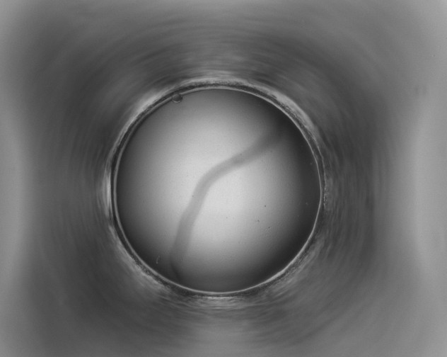 X0000114491295200910191223