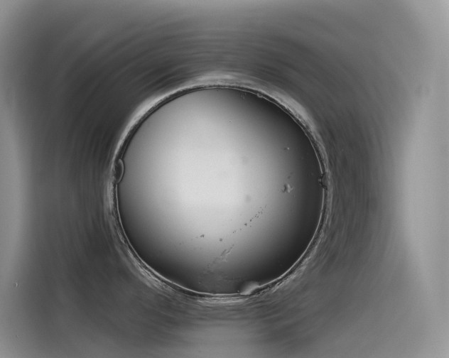 X0000114491296200910191223