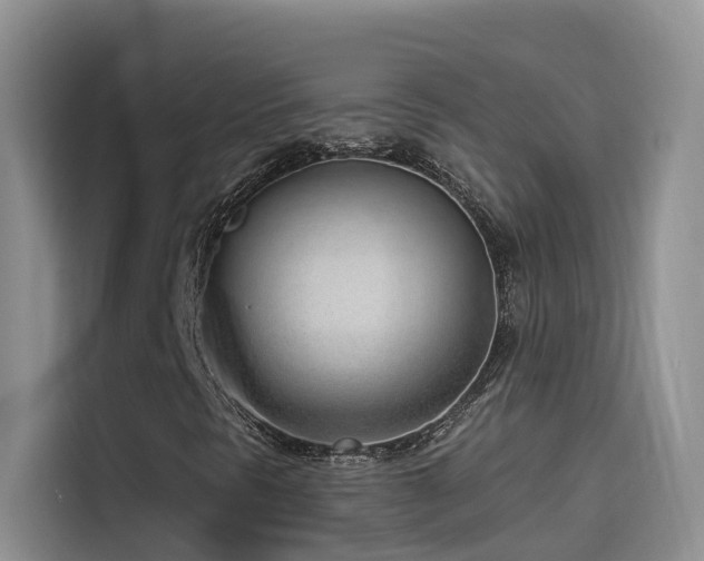 X0000114491297200910191223