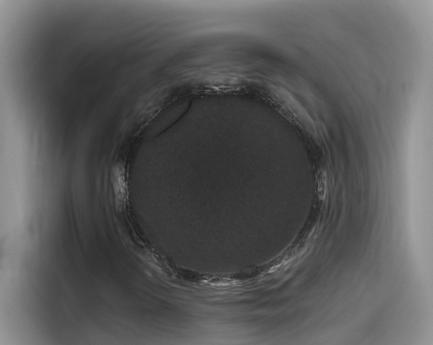 X0000114491298200910191223