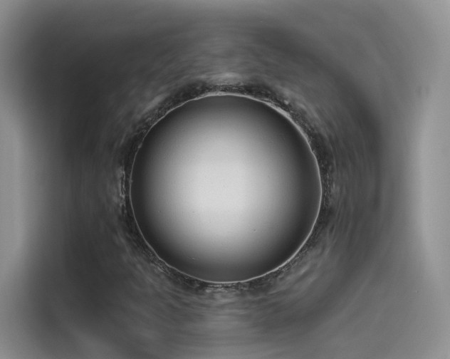 X0000114491301200910191223